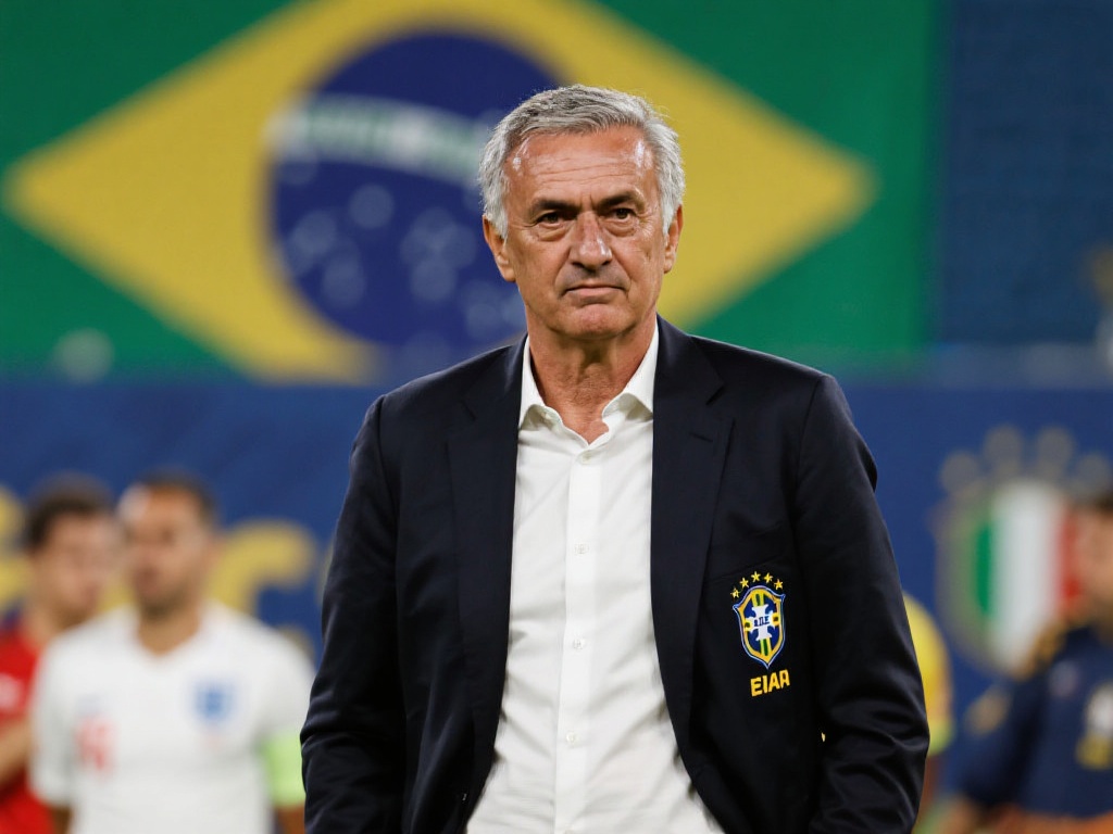 在印尼国内 在印尼国内