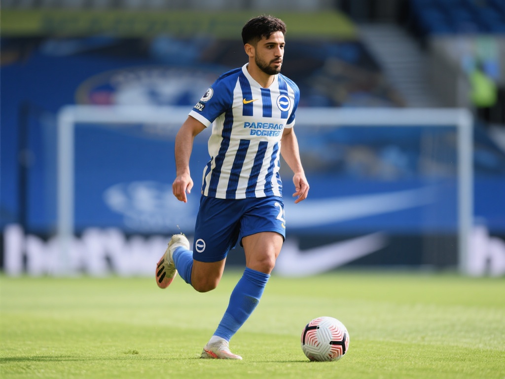 在国家队中 在国家队中